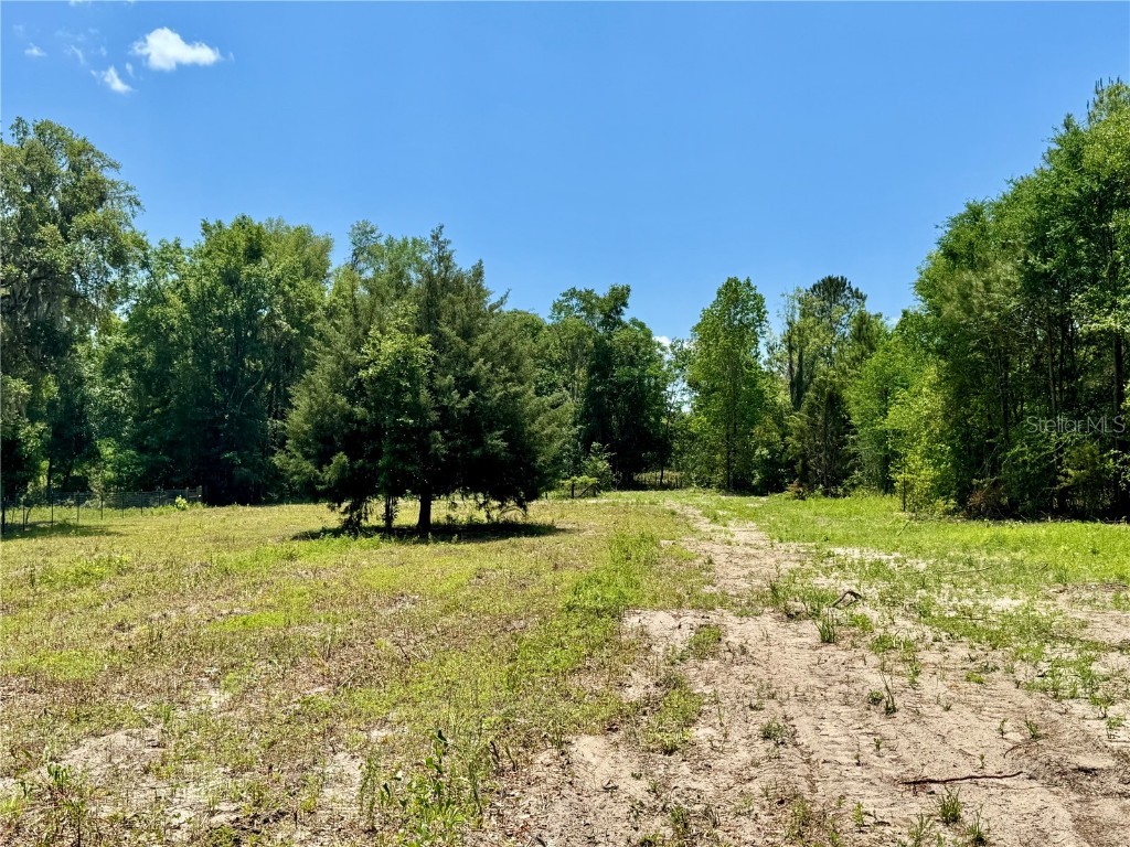 7349 NW 19th Avenue Road Ocala FL 34475 OM700170 image1