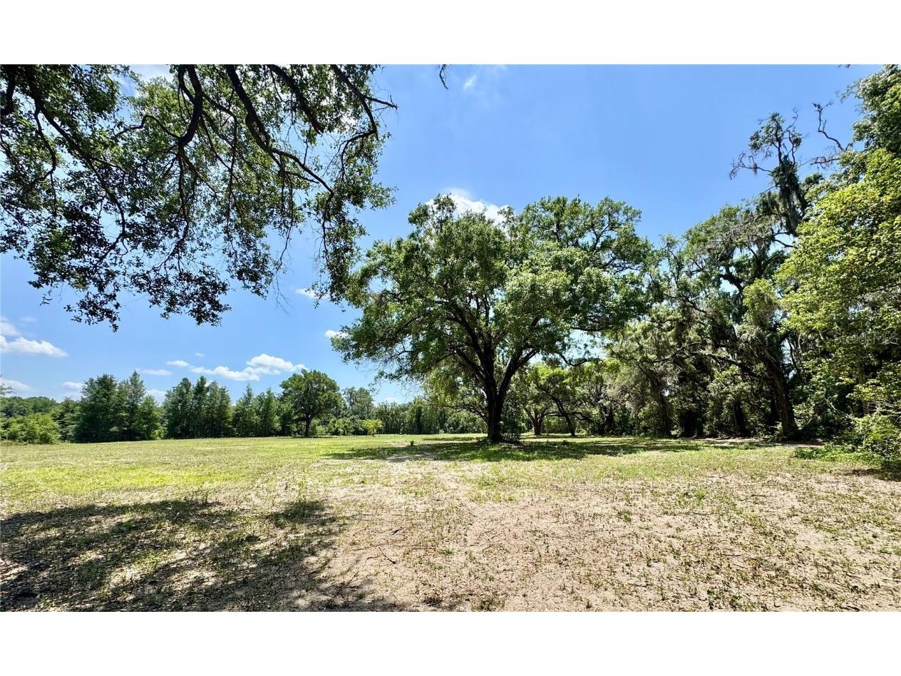 7349 NW 19th Avenue Road Ocala FL 34475 OM700170 image3