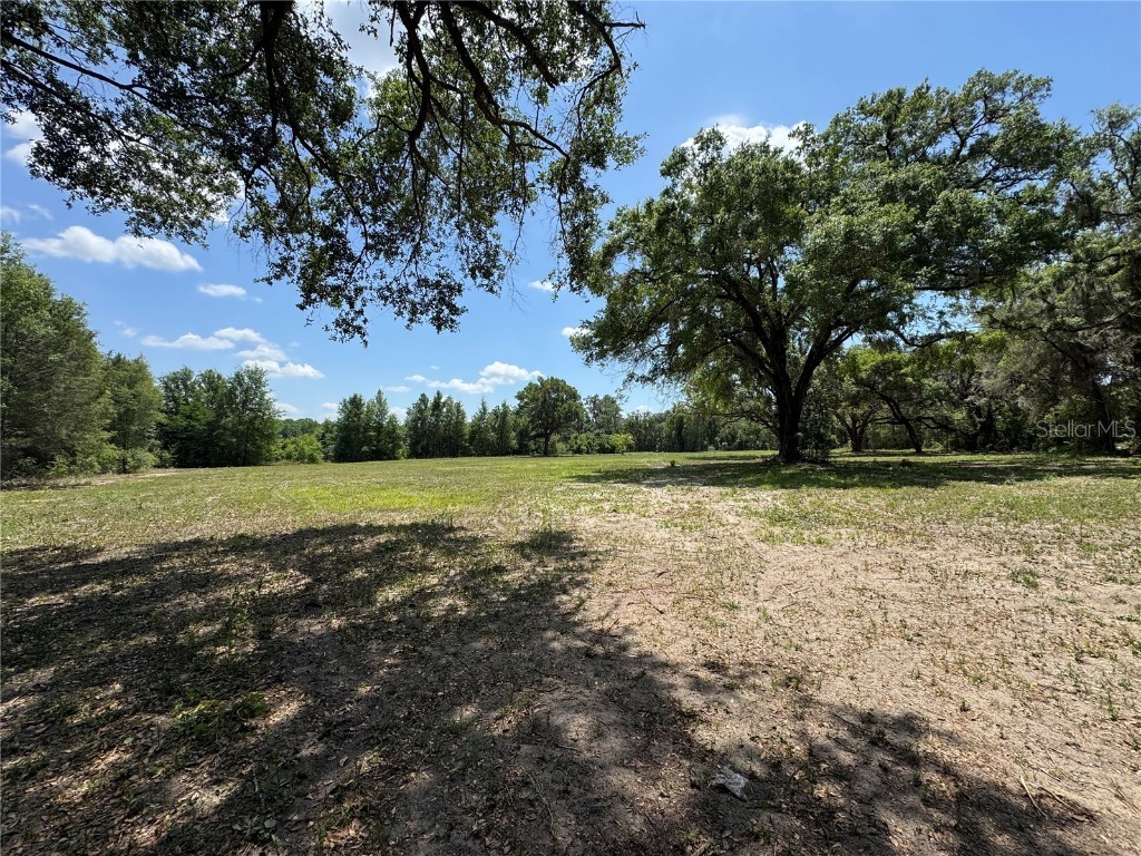 7349 NW 19th Avenue Road Ocala FL 34475 OM700170 image4
