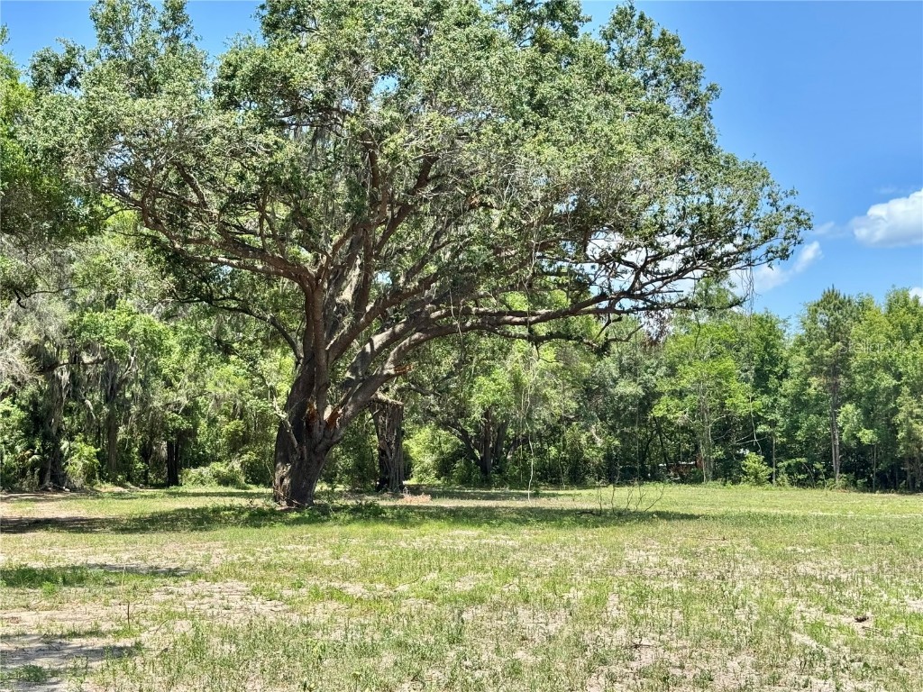 7349 NW 19th Avenue Road Ocala FL 34475 OM700170 image8