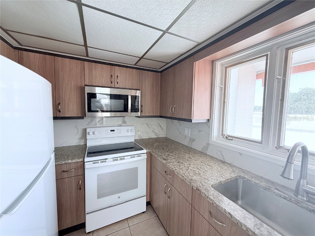 735 Dodecanese Boulevard Tarpon Springs FL 34689 TB8422370 image2