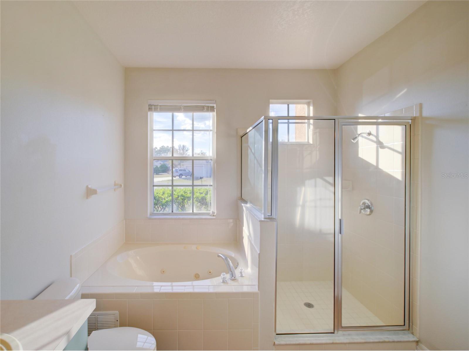 735 Palaiseau Ct Kissimmee FL 34759 S5144255 image11