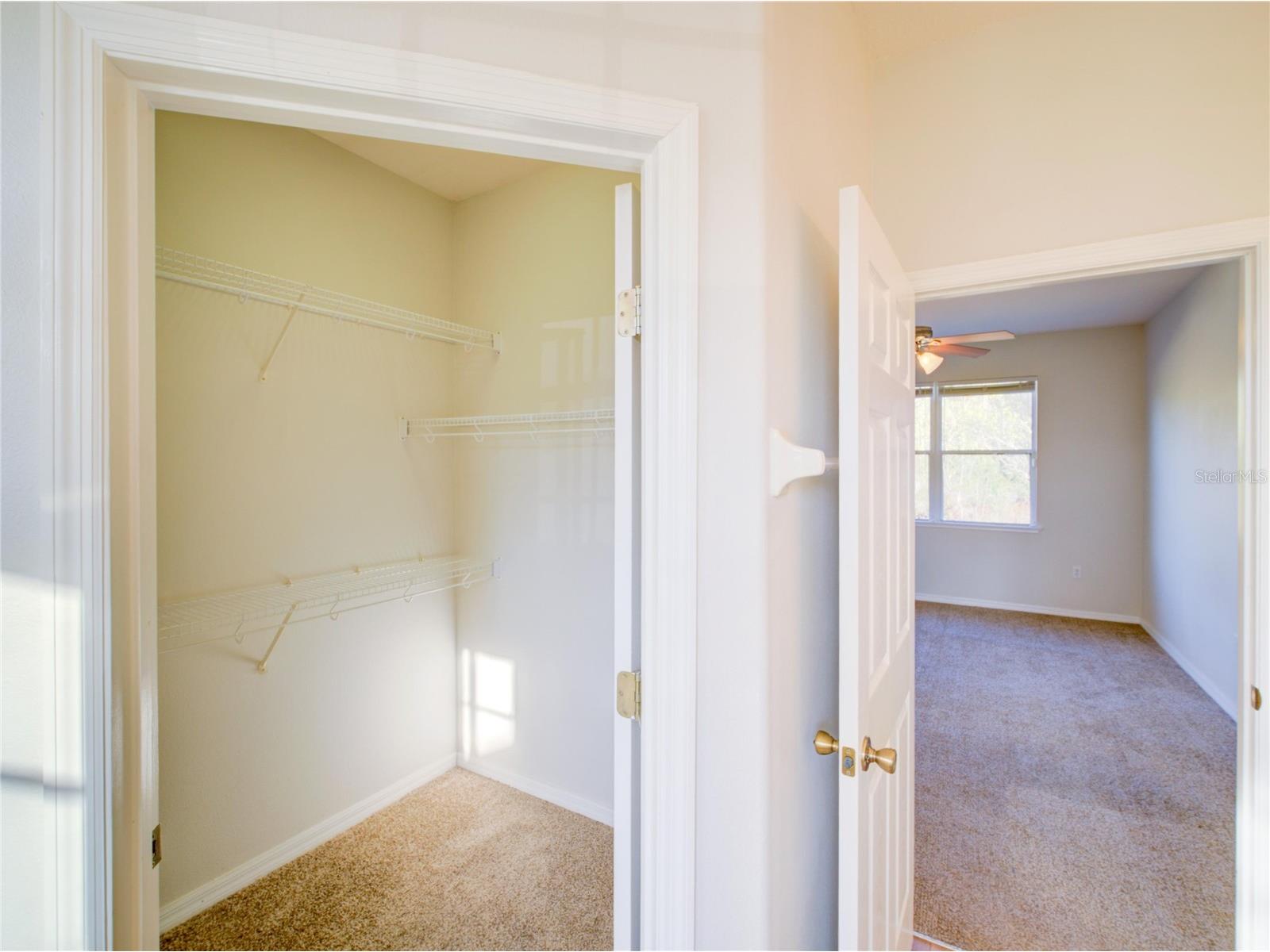 735 Palaiseau Ct Kissimmee FL 34759 S5144255 image9