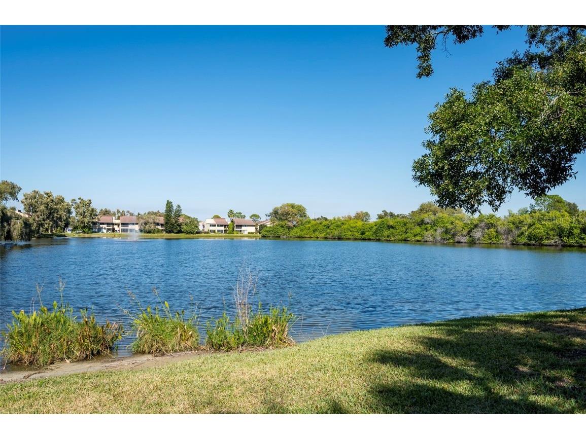 735 S Village Drive N #206 Saint Petersburg FL 33716 TB8448749 image33