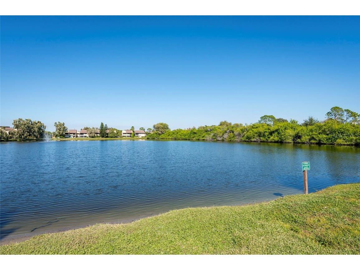 735 S Village Drive N #206 Saint Petersburg FL 33716 TB8448749 image34