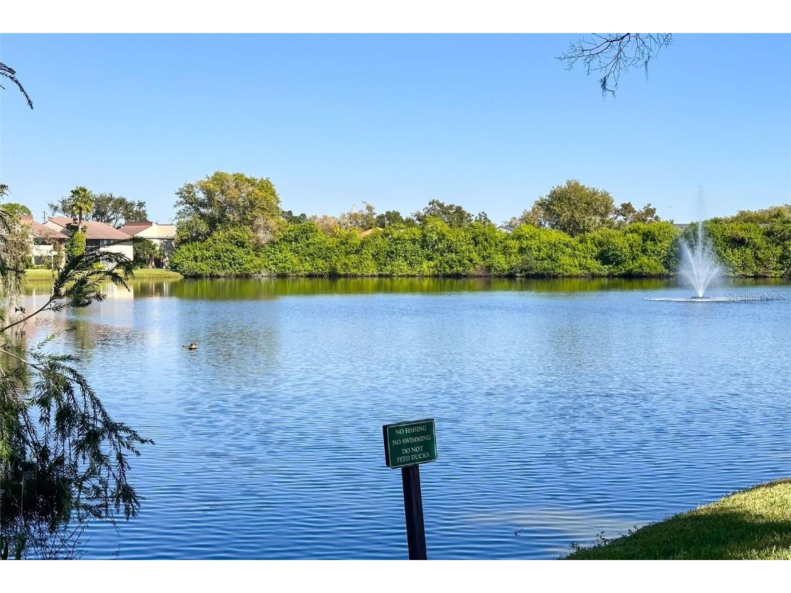 735 S Village Drive N #206 Saint Petersburg FL 33716 TB8448749 image41