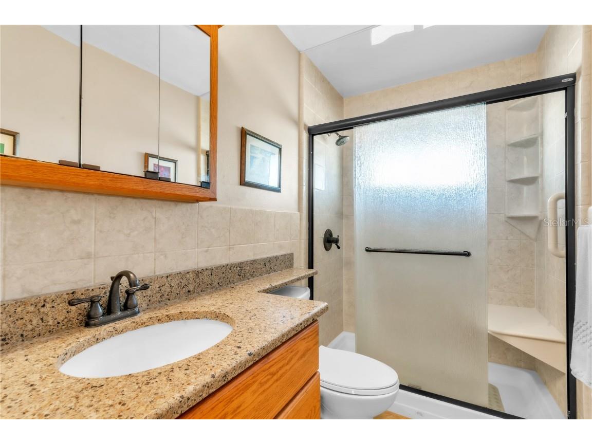 735 Torrey Pines Avenue Sun City Center FL 33573 TB8446676 image19