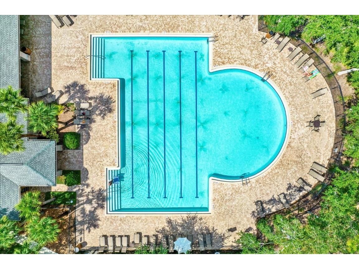 735 Winthrop Drive Spring Hill FL 34609 TB8405608 image38