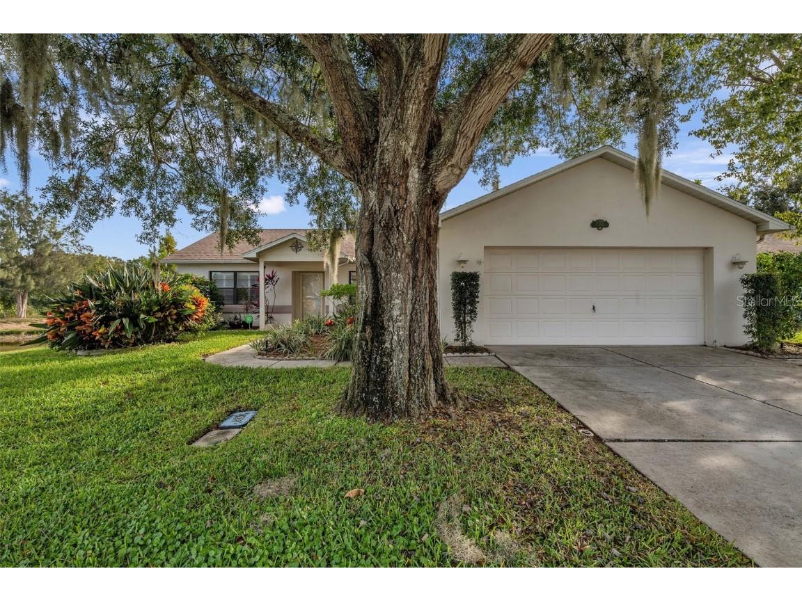 7350 Ashmore Drive New Port Richey FL 34653 T3491821 image1
