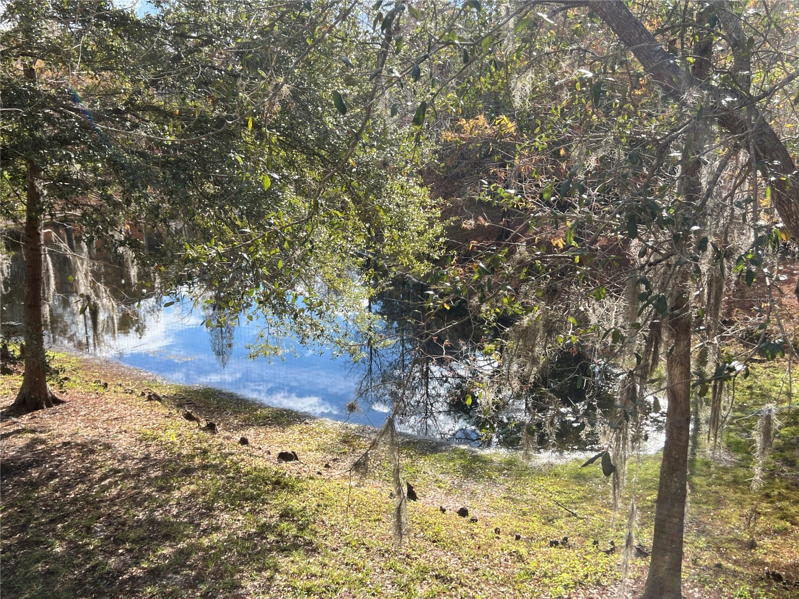 7350 Black Walnut Way Lakewood Ranch FL 34202 TB8447004 image28