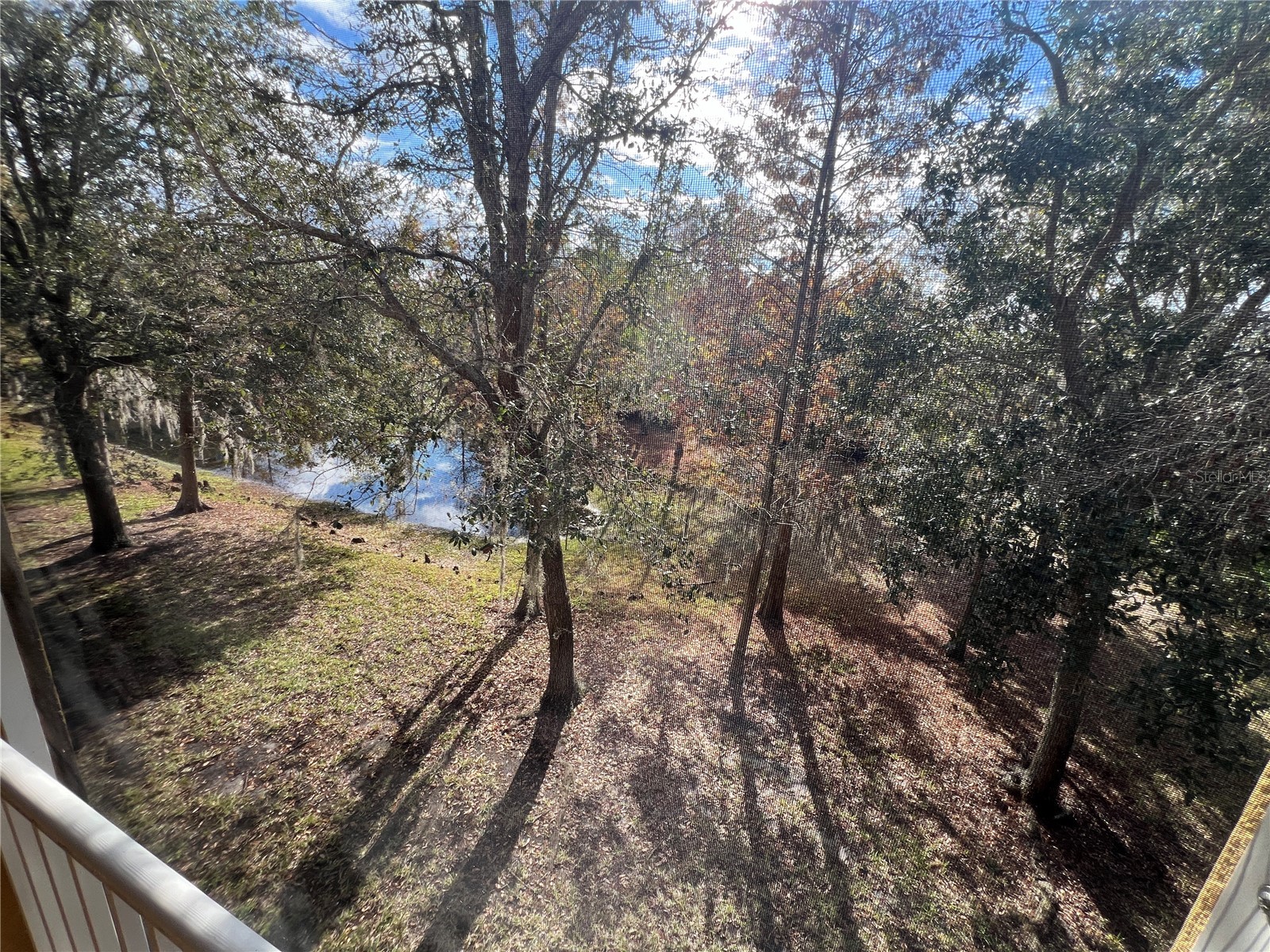 7350 Black Walnut Way Lakewood Ranch FL 34202 TB8447004 image49