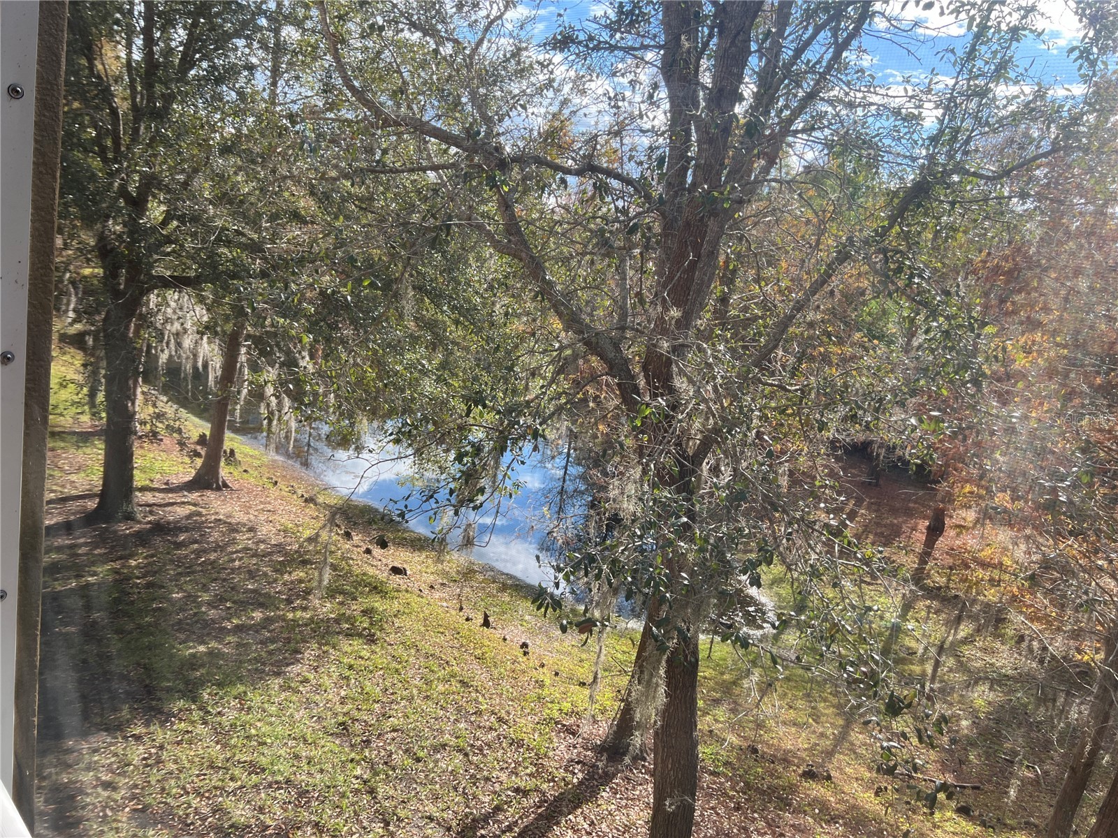 7350 Black Walnut Way Lakewood Ranch FL 34202 TB8447004 image50