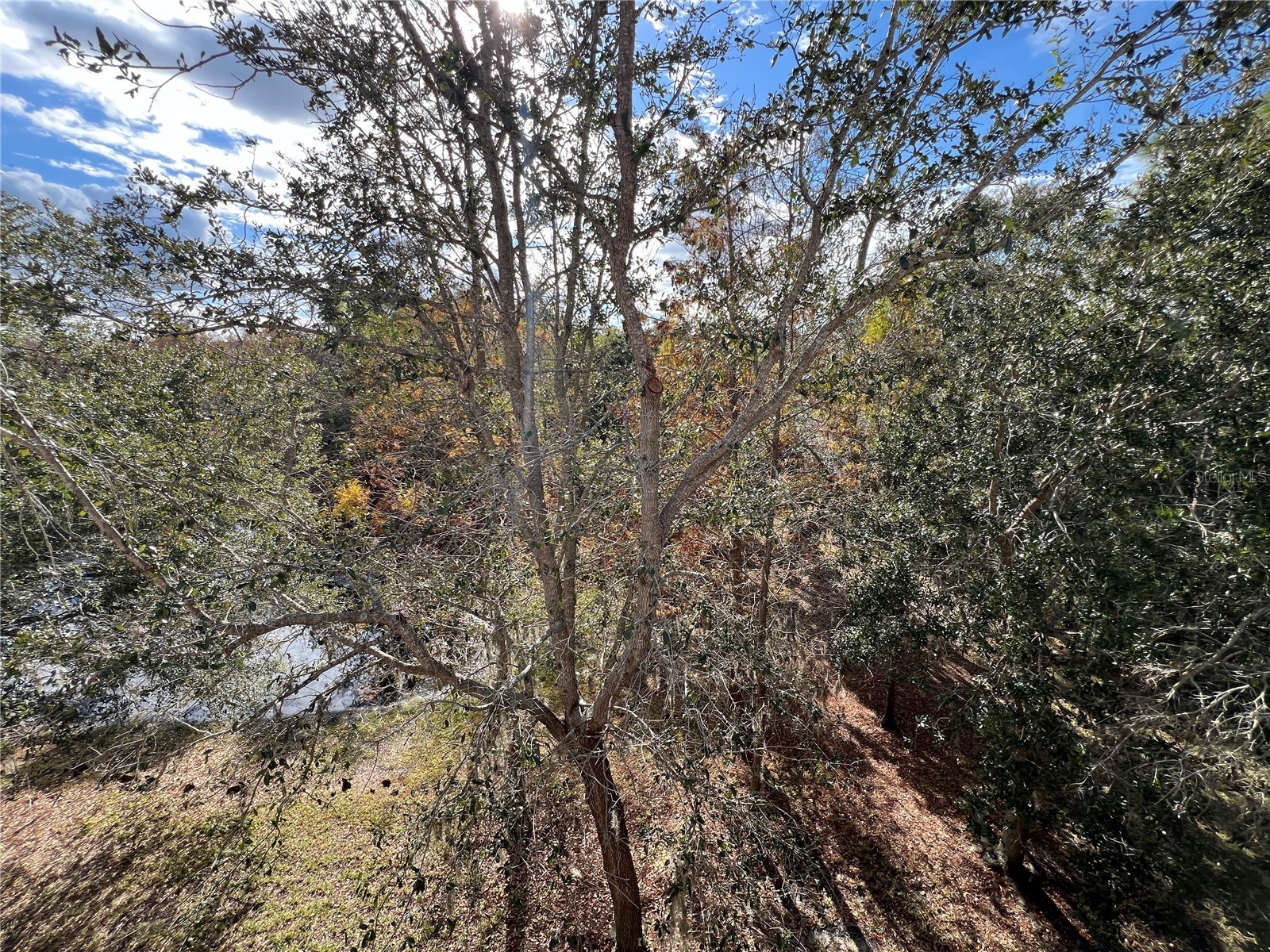 7350 Black Walnut Way Lakewood Ranch FL 34202 TB8447004 image51