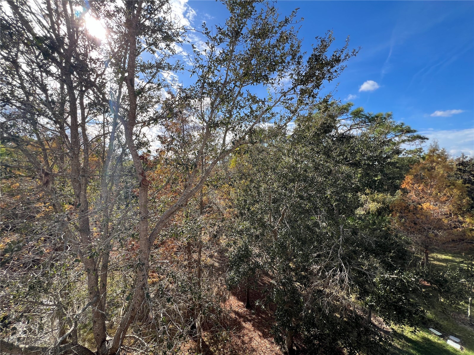 7350 Black Walnut Way Lakewood Ranch FL 34202 TB8447004 image52