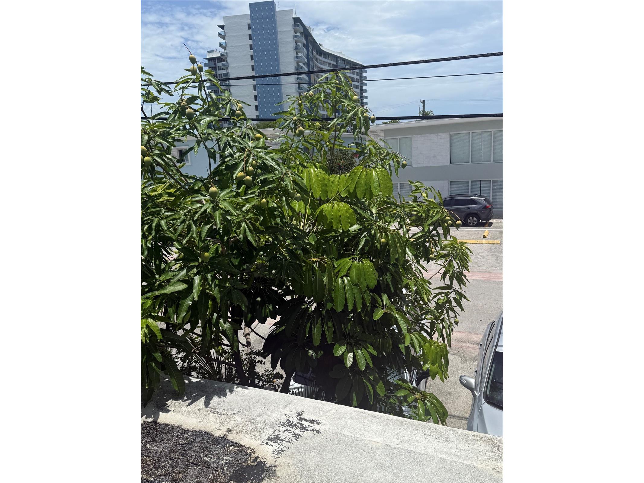 7350 Gary Avenue Miami Beach FL 33141 S5151851 image1