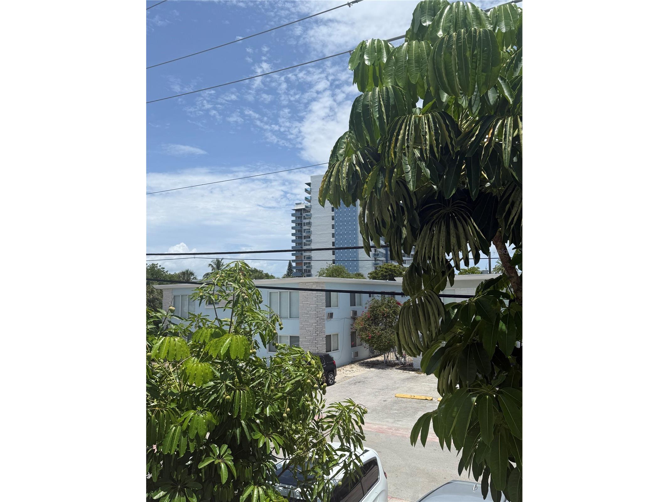 7350 Gary Avenue Miami Beach FL 33141 S5151851 image3