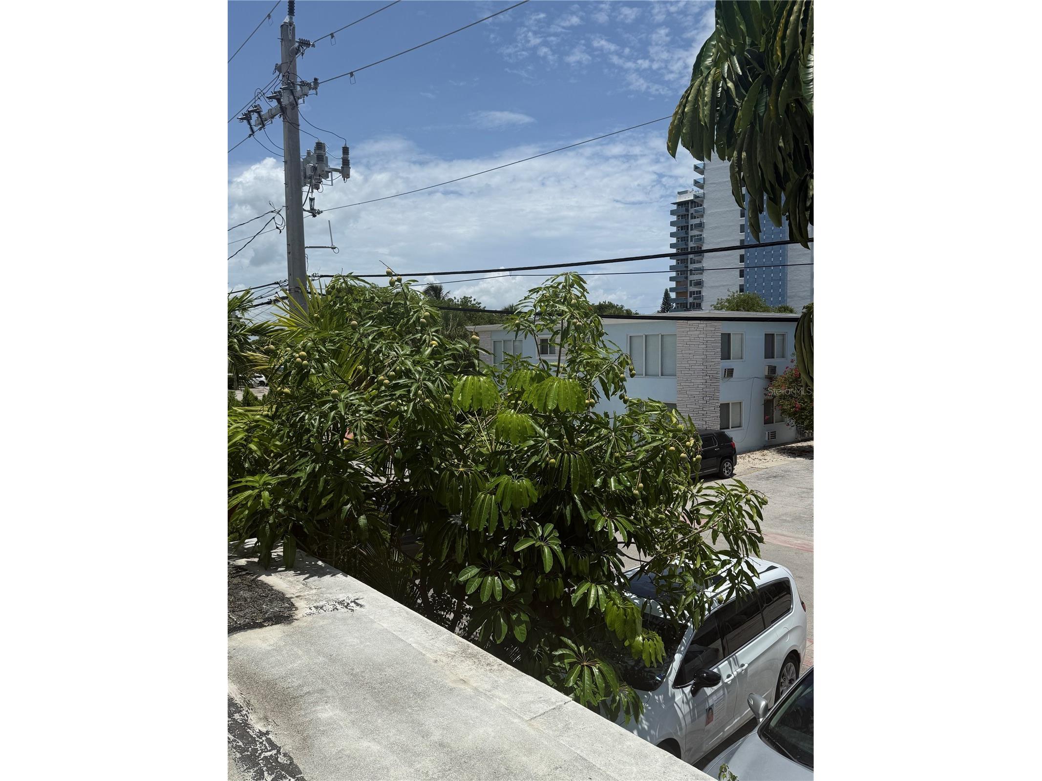 7350 Gary Avenue Miami Beach FL 33141 S5151851 image6