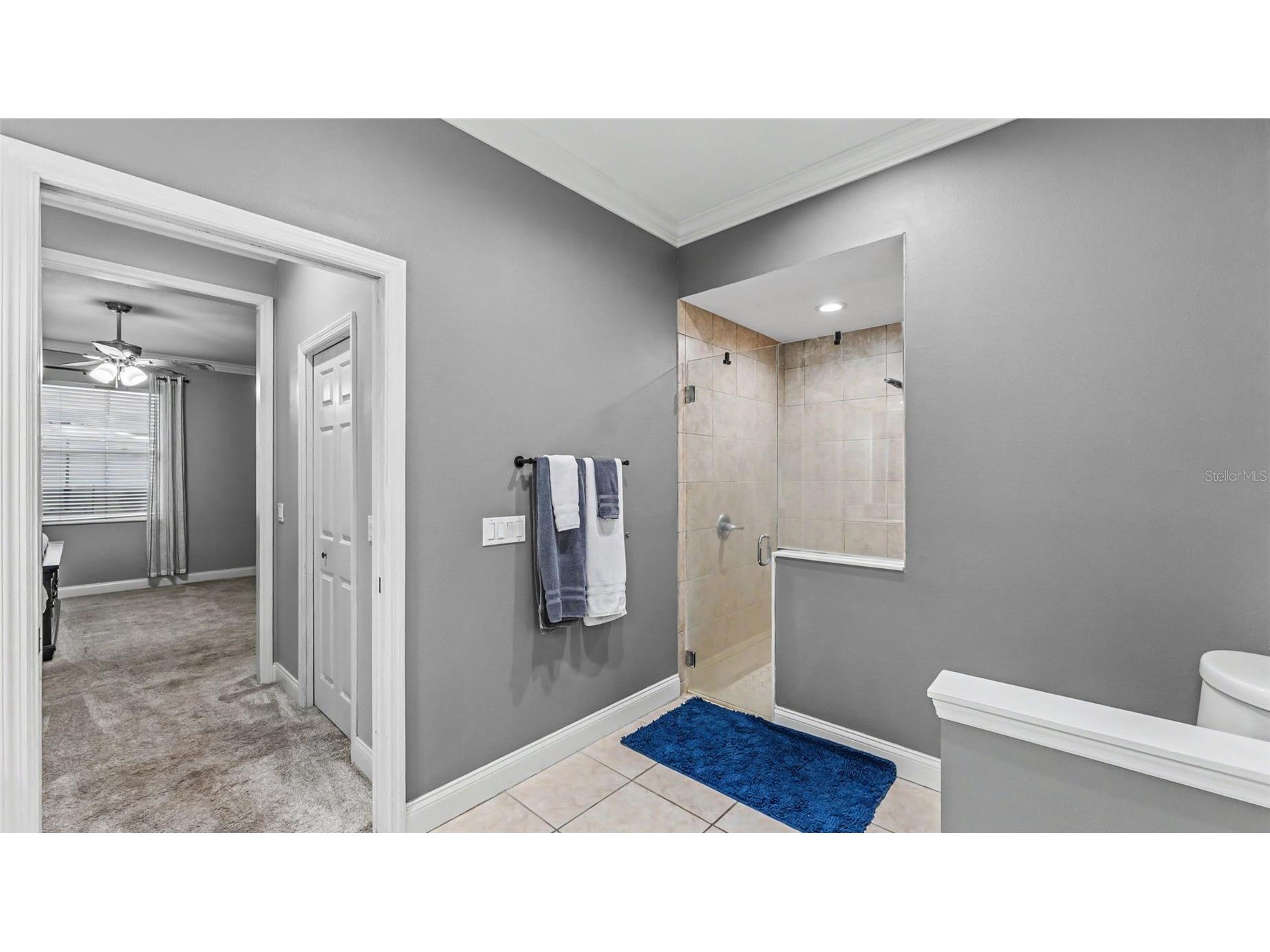 7350 Osprey Landing Point Lakeland FL 33813 L4963180 image28