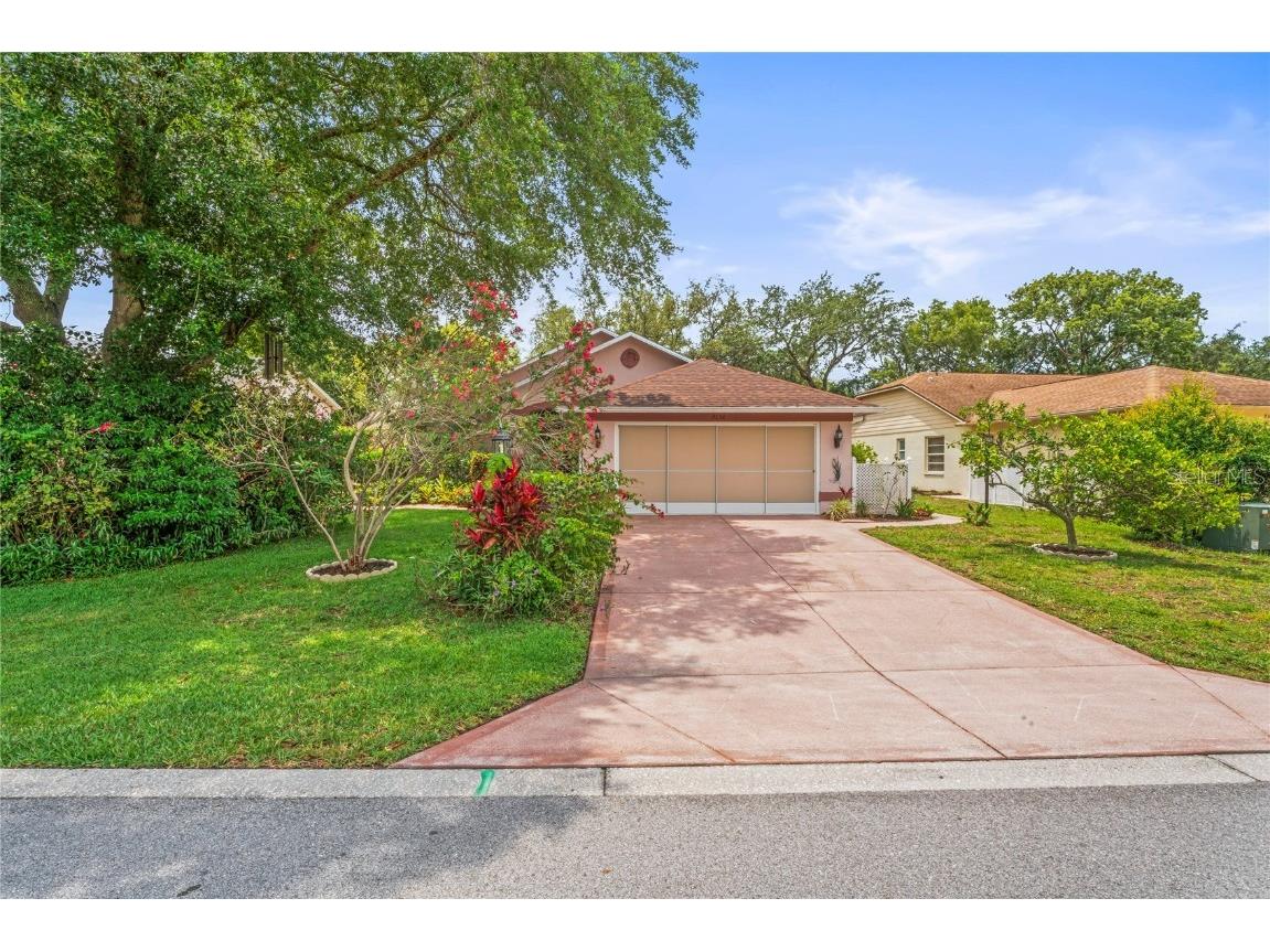 7350 Rosemont Lane Spring Hill FL 34606 T3528526 image1