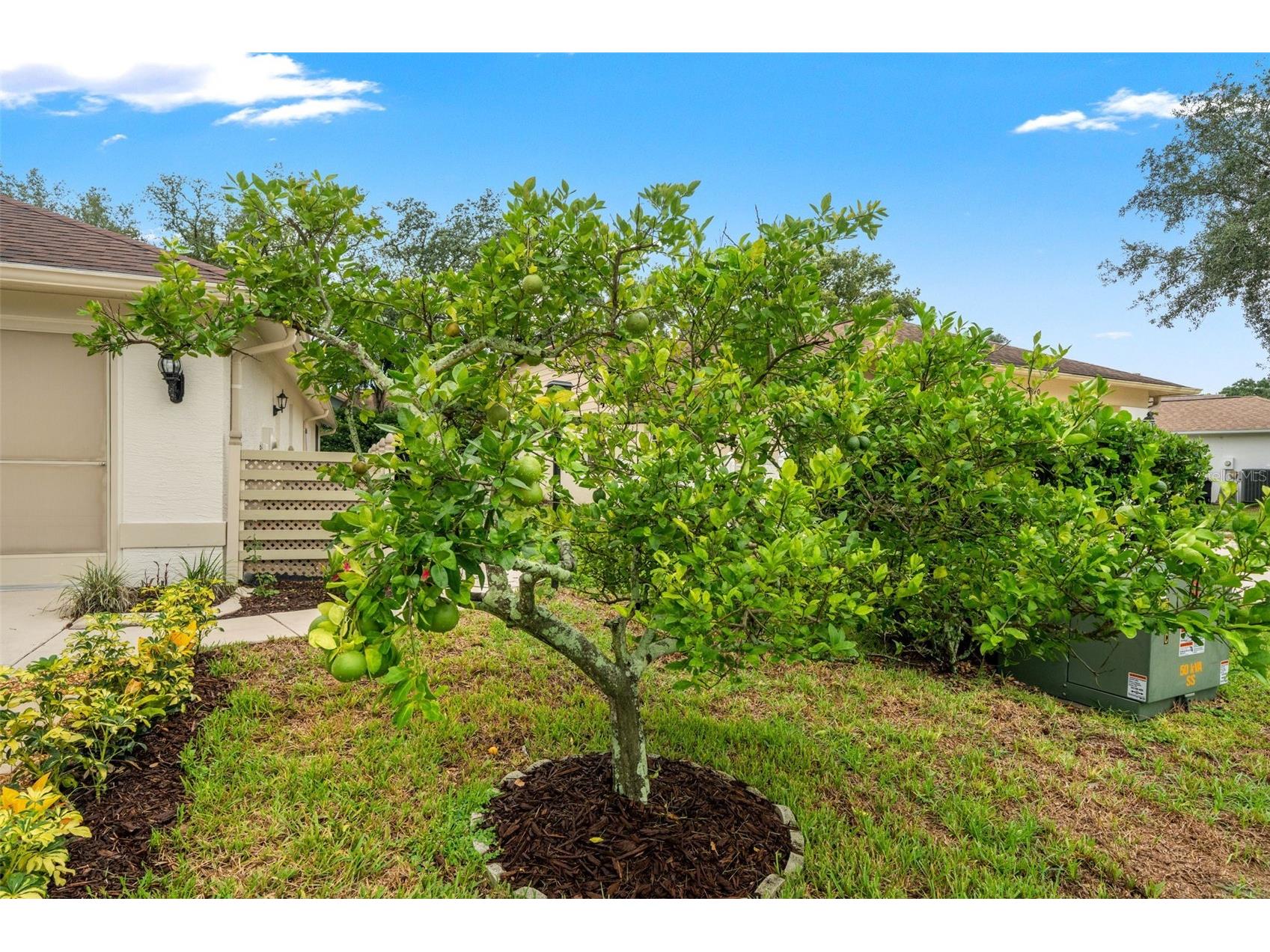7350 Rosemont Lane Spring Hill FL 34606 TB8527884 image6