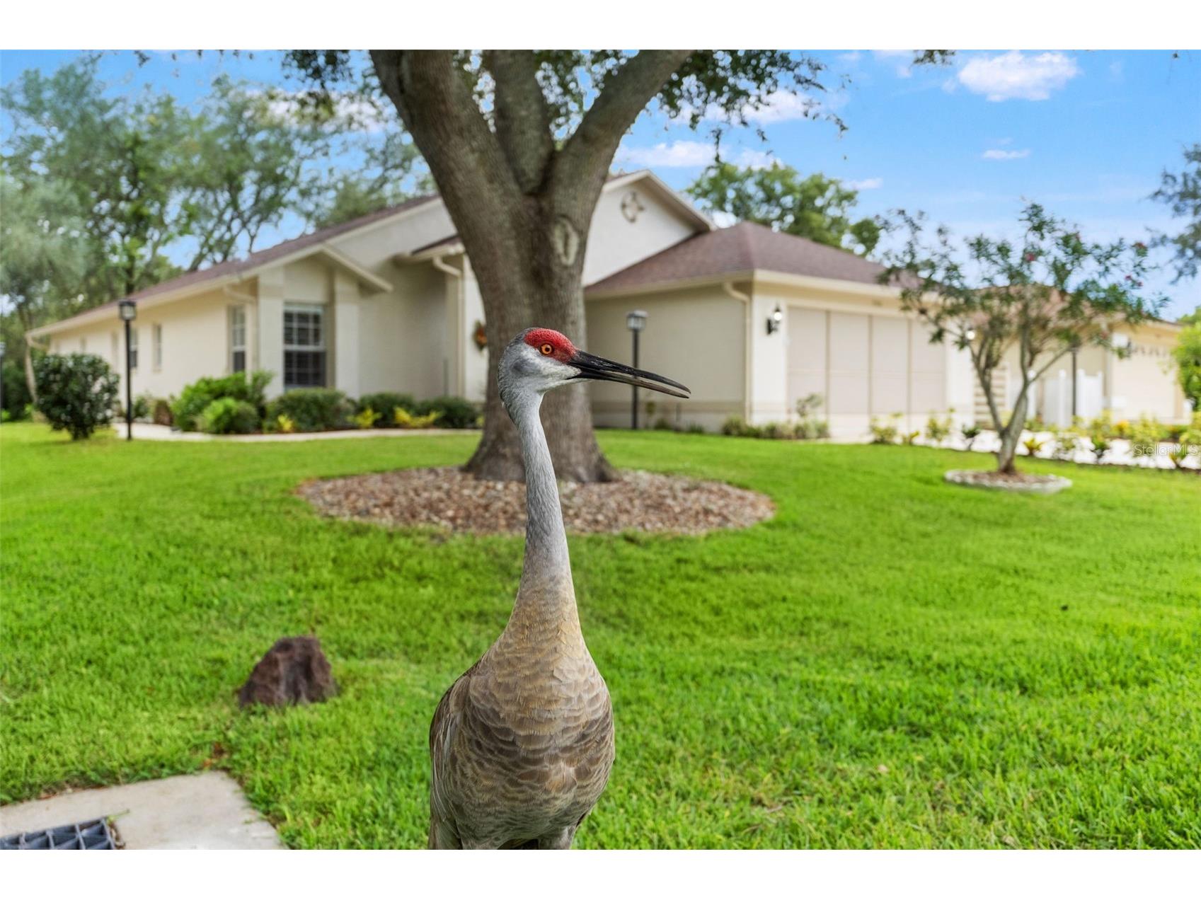 7350 Rosemont Lane Spring Hill FL 34606 TB8527884 image62