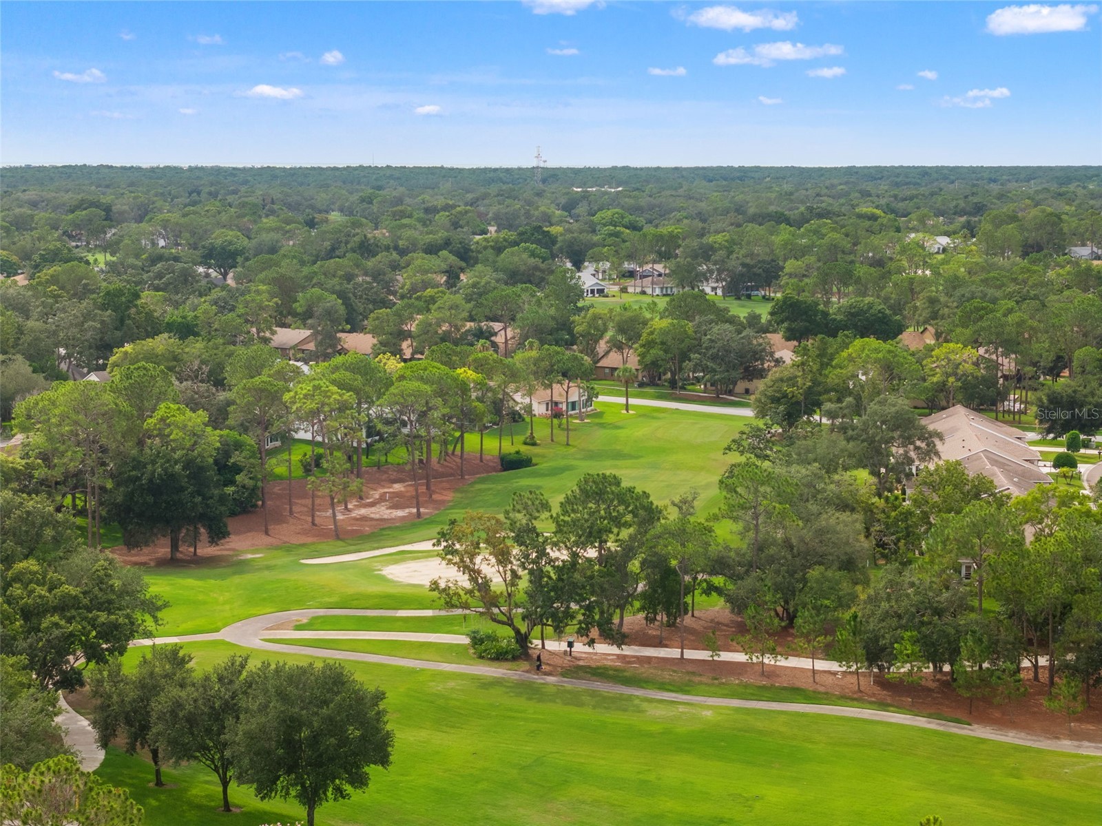 7350 Rosemont Lane Spring Hill FL 34606 TB8527884 image88