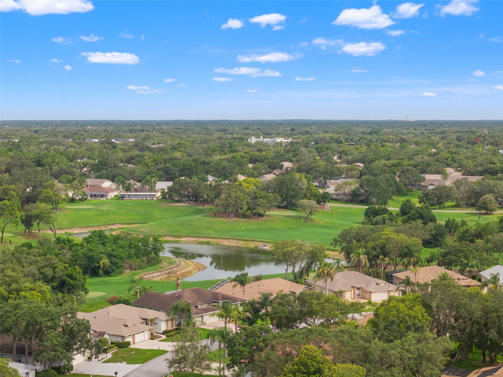 7350 Rosemont Lane Spring Hill FL 34606 TB8527884 image89