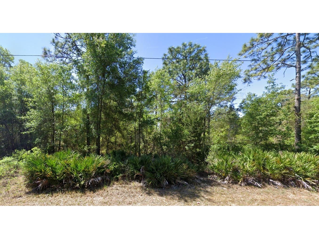 7350 W Village Drive Homosassa FL 34446 TB8421536 image1