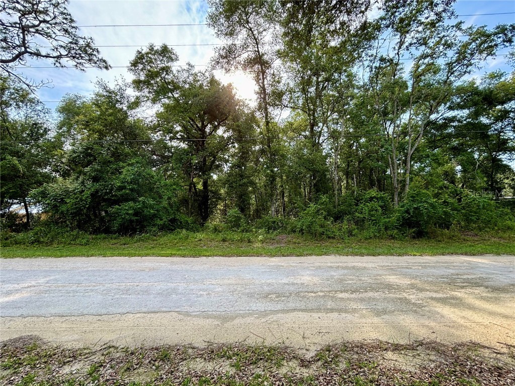 7351 Knoxville Drive Webster FL 33597 T3535364 image1