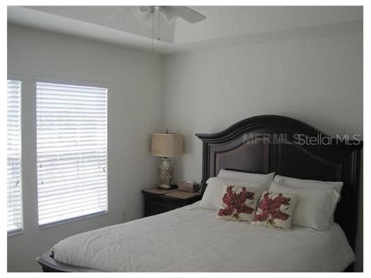 7351 Millstone Street Windermere FL 34786 S5137579 image8