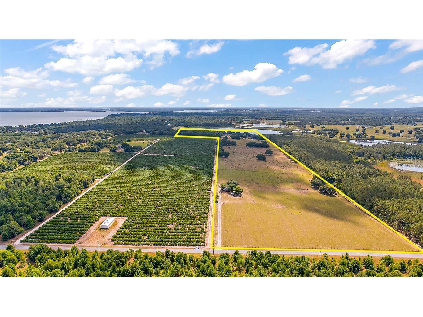 7351 Number Two Road Howey In The Hills FL 34737 - SAP POND G5082071 image11