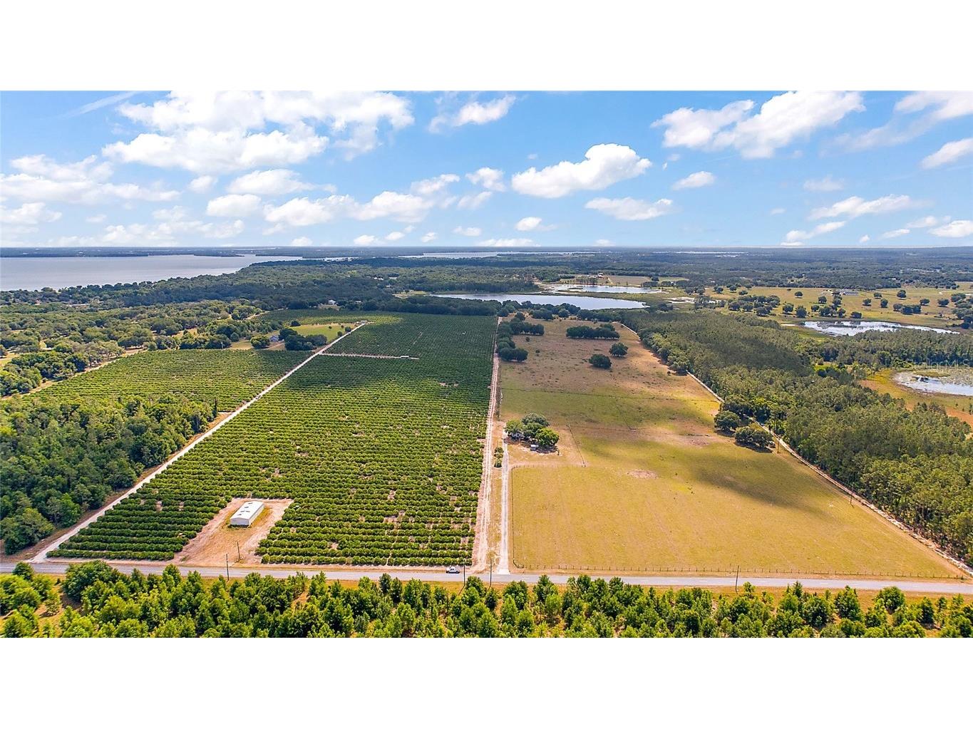 7351 Number Two Road Howey In The Hills FL 34737 - SAP POND G5082071 image12