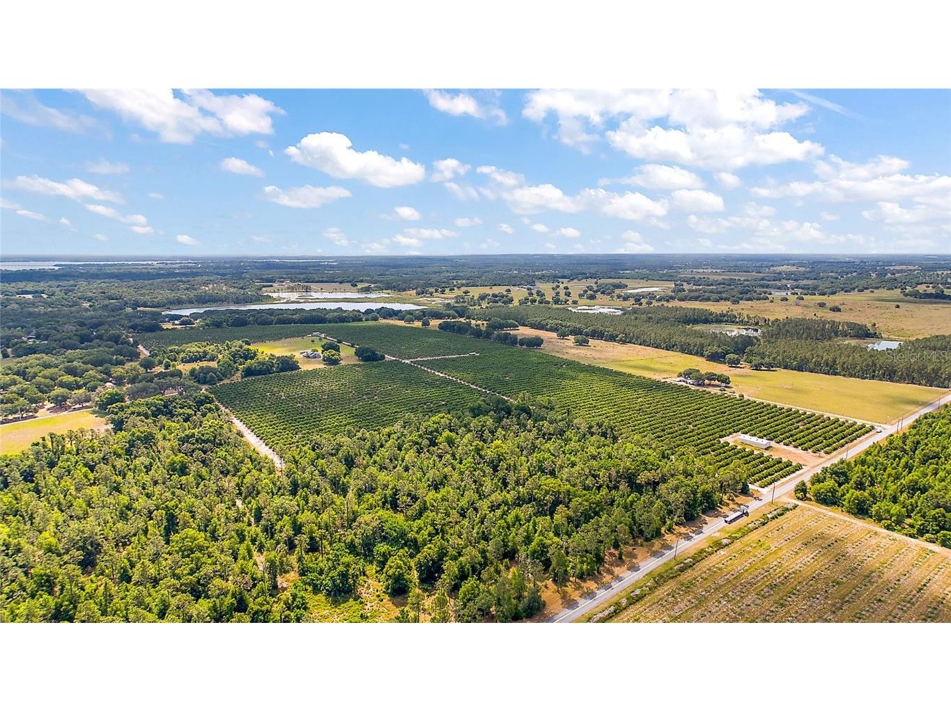 7351 Number Two Road Howey In The Hills FL 34737 - SAP POND G5082071 image13