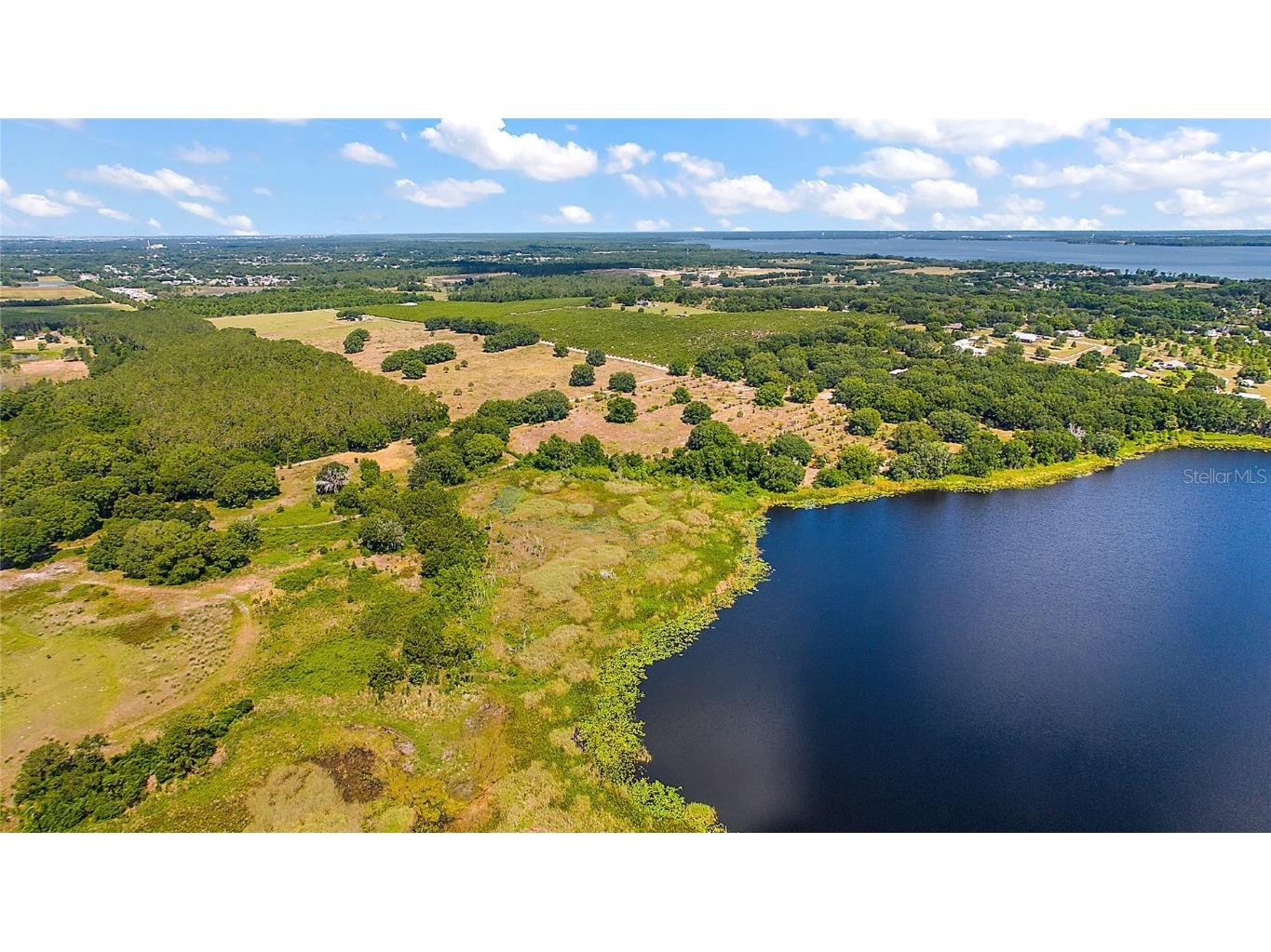 7351 Number Two Road Howey In The Hills FL 34737 - SAP POND G5082071 image2