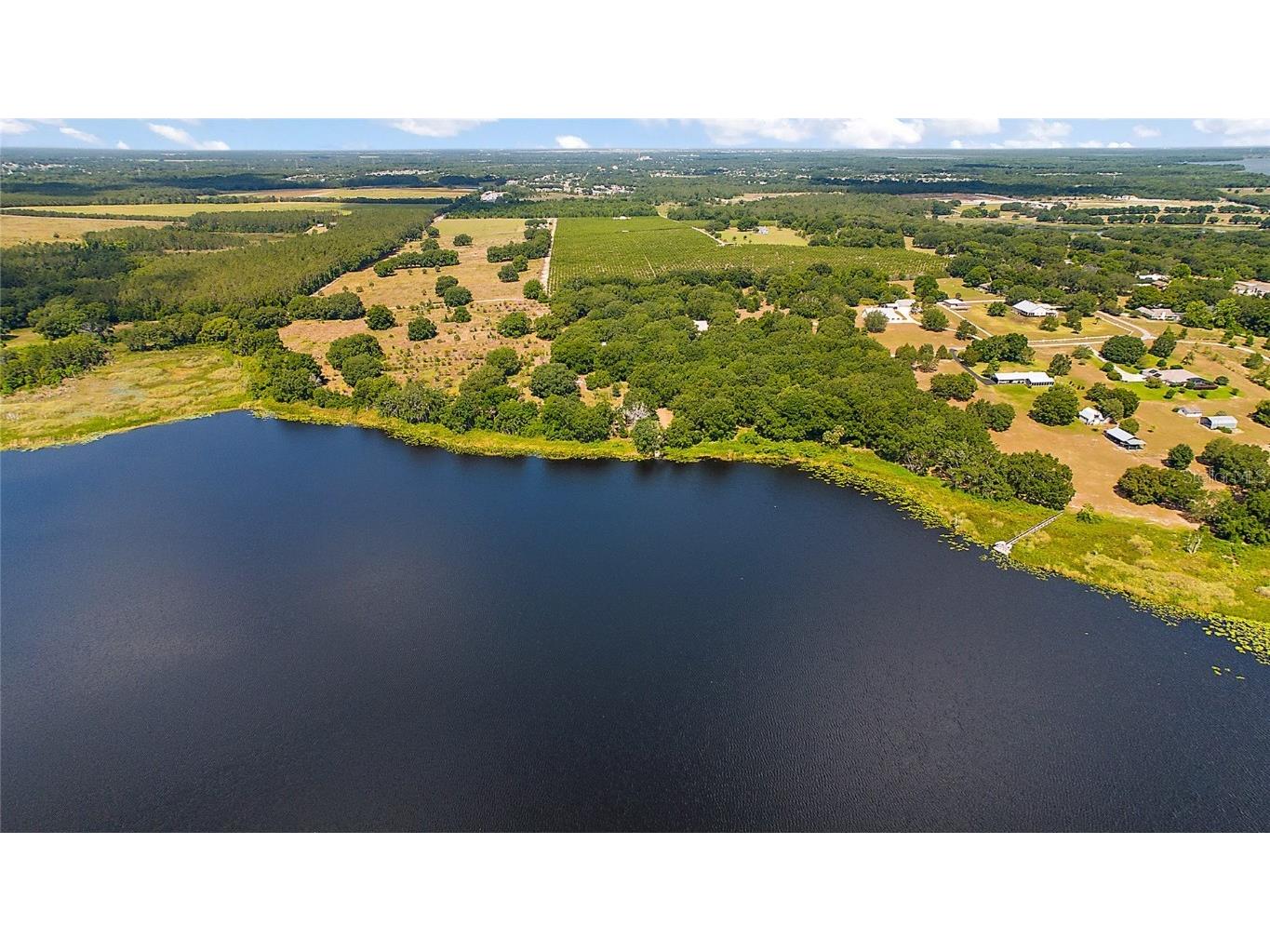 7351 Number Two Road Howey In The Hills FL 34737 - SAP POND G5082071 image3