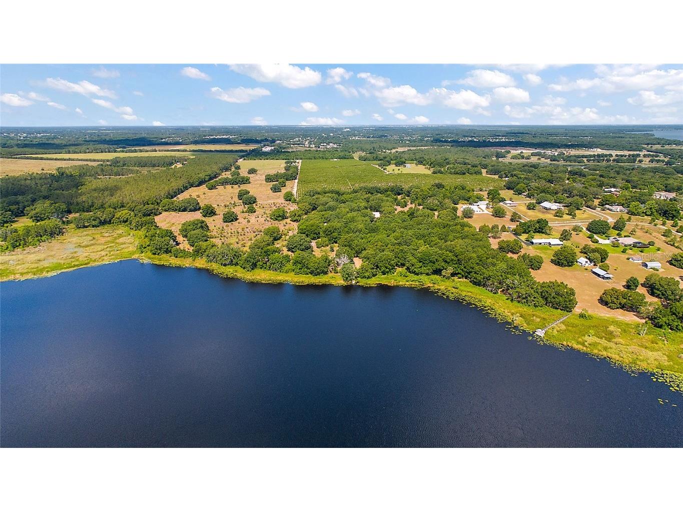 7351 Number Two Road Howey In The Hills FL 34737 - SAP POND G5082071 image4