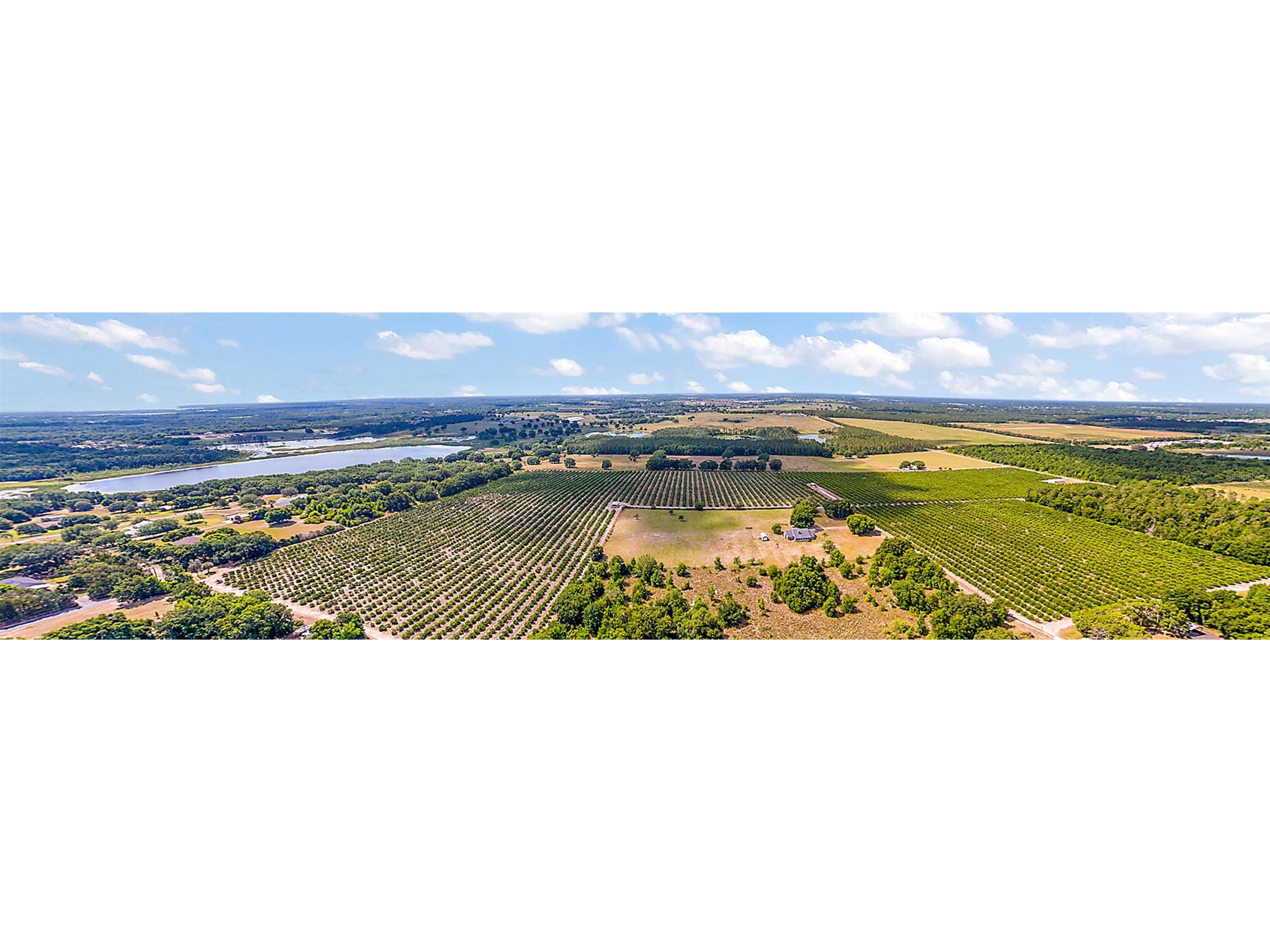 7351 Number Two Road Howey In The Hills FL 34737 - SAP POND G5082071 image6