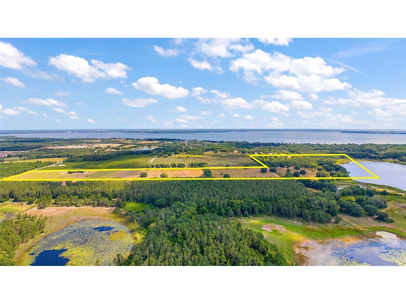 7351 Number Two Road Howey In The Hills FL 34737 - SAP POND G5082071 image8