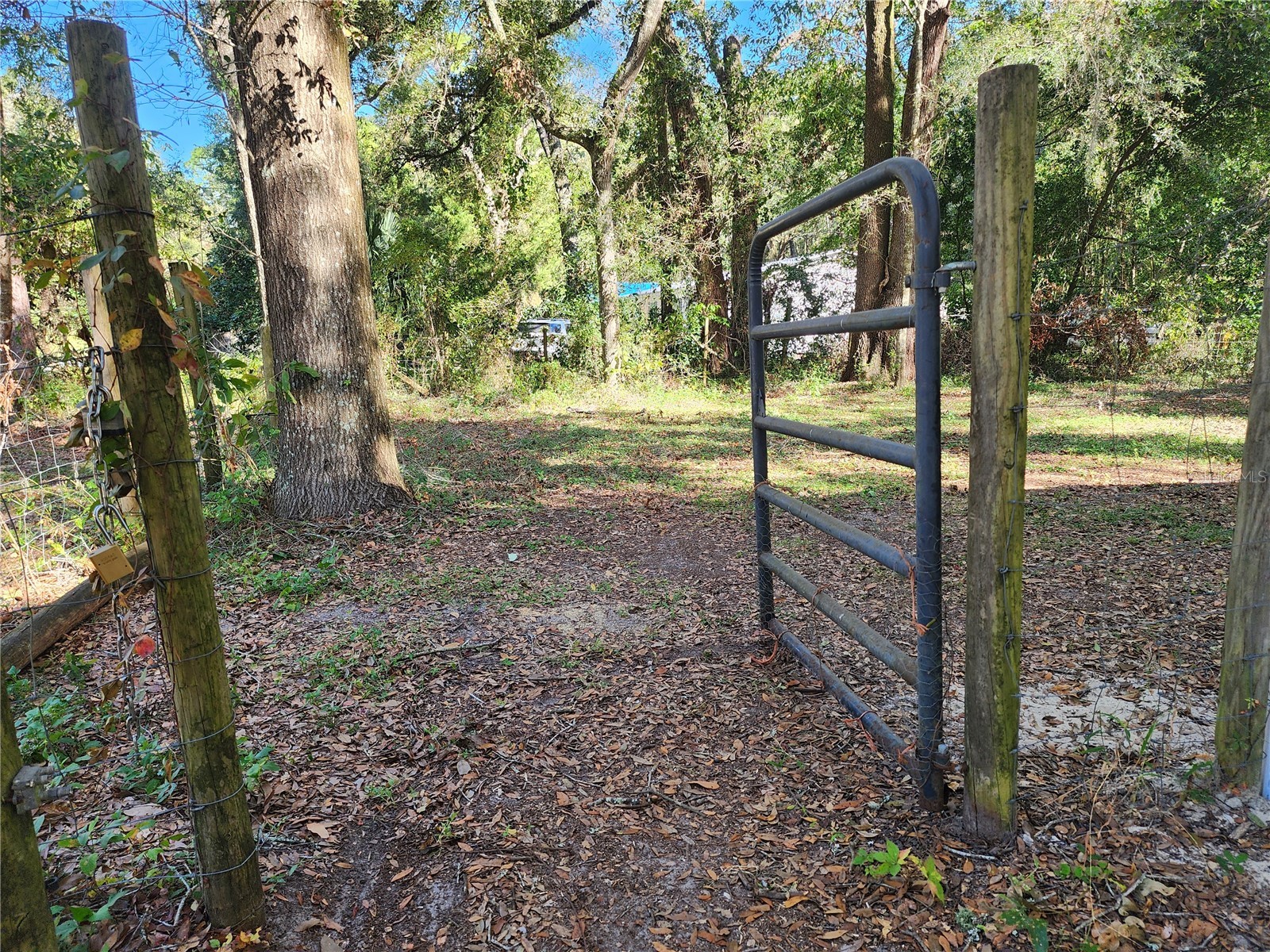 7351 NW 170th Street Trenton FL 32693 R4911192 image15