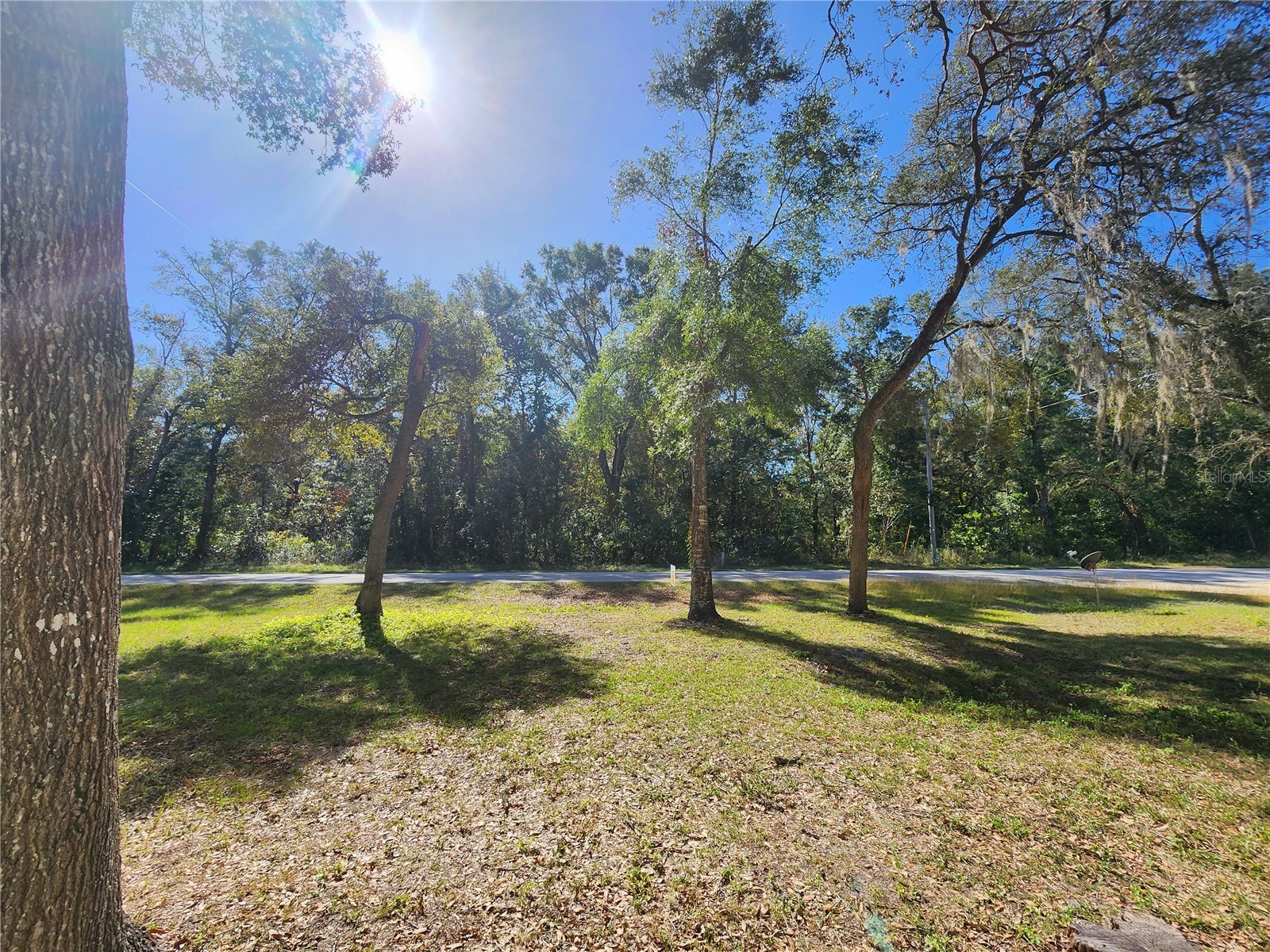 7351 NW 170th Street Trenton FL 32693 R4911192 image66