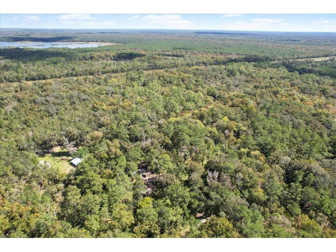 7351 SE 37th Court Inglis FL 34449 OM666914 image1