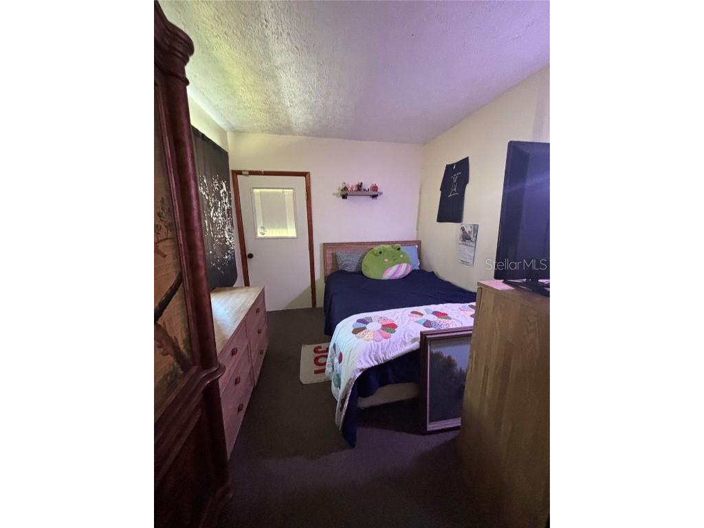 7351 Sealawn Drive Spring Hill FL 34606 W7873710 image19