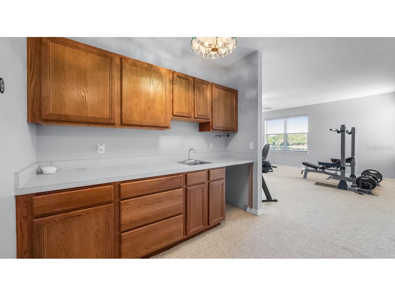 7351 Spring Mountain Lane Yalaha FL 34797 G5110178 image41