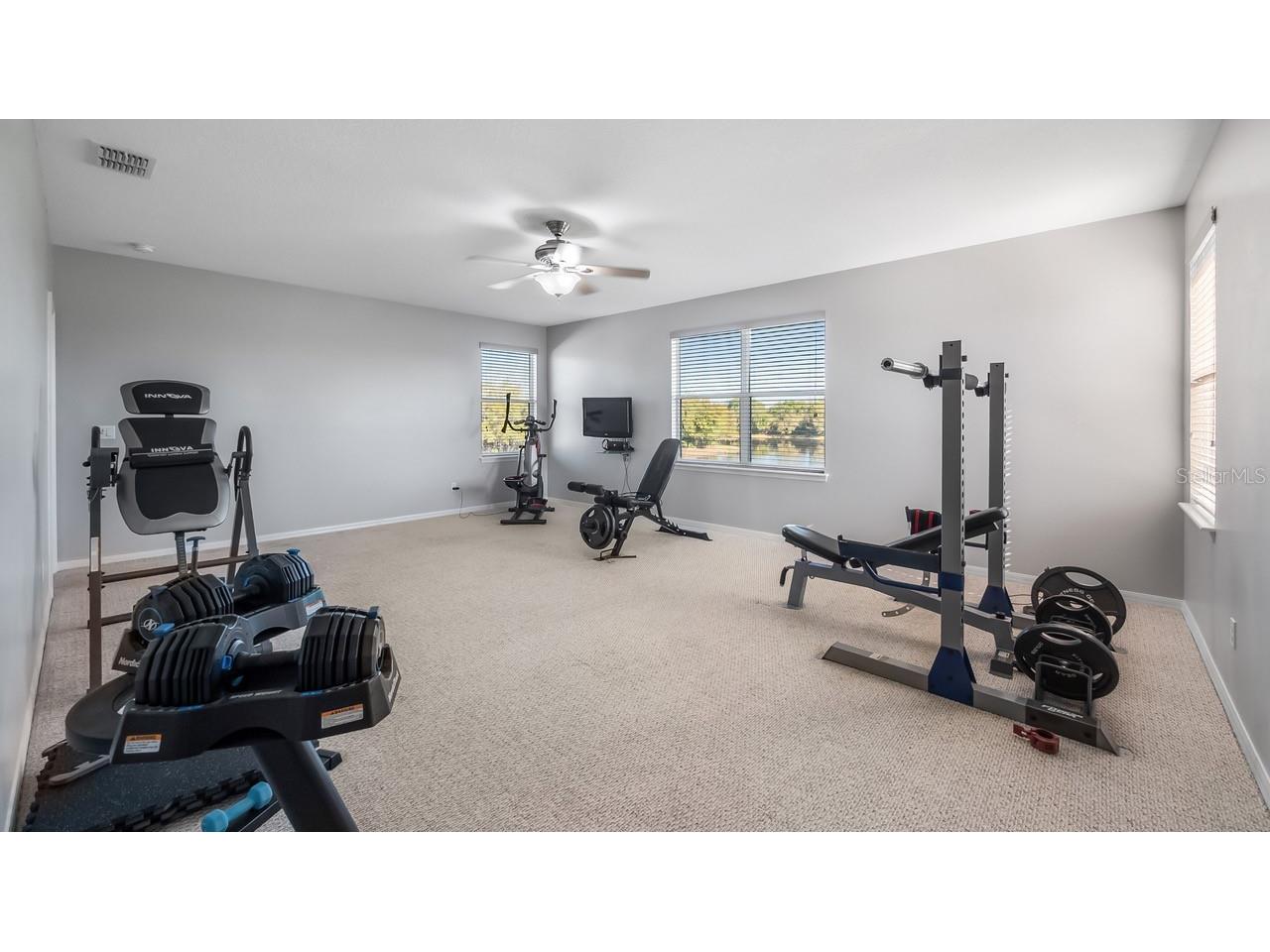7351 Spring Mountain Lane Yalaha FL 34797 G5110178 image42