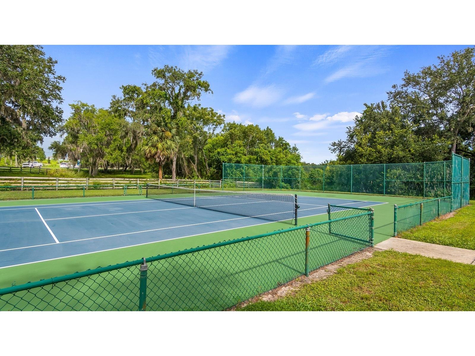 7351 Spring Mountain Lane Yalaha FL 34797 G5110178 image67
