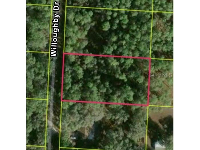 7352 Willoughby Drive Webster FL 33597 S5153130 image2
