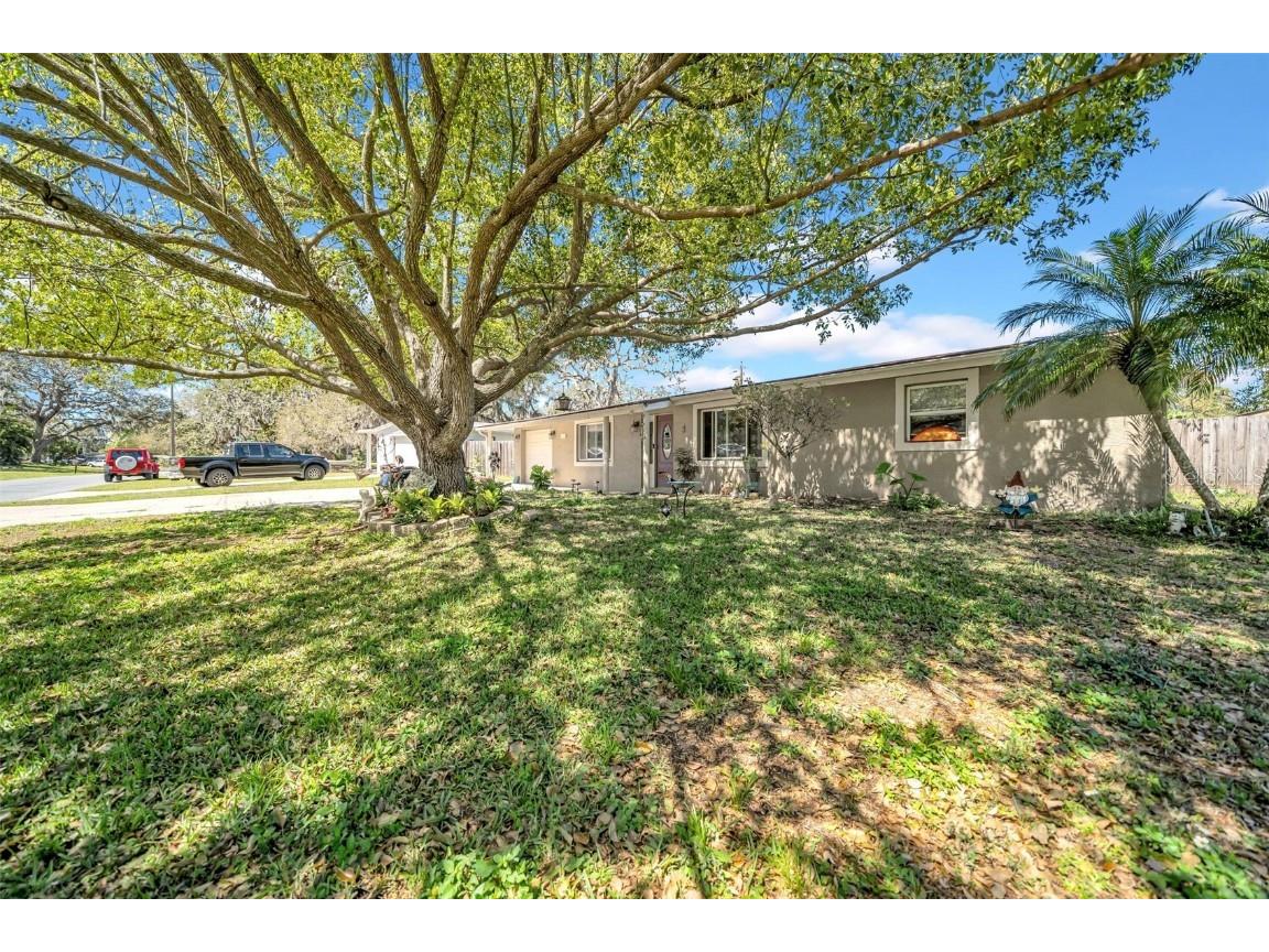 7353 Banner Street New Port Richey FL 34653 W7880681 image42