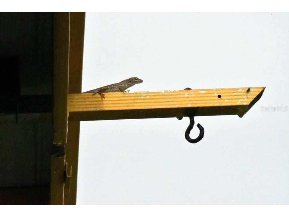 7353 Banner Street New Port Richey FL 34653 W7880681 image49