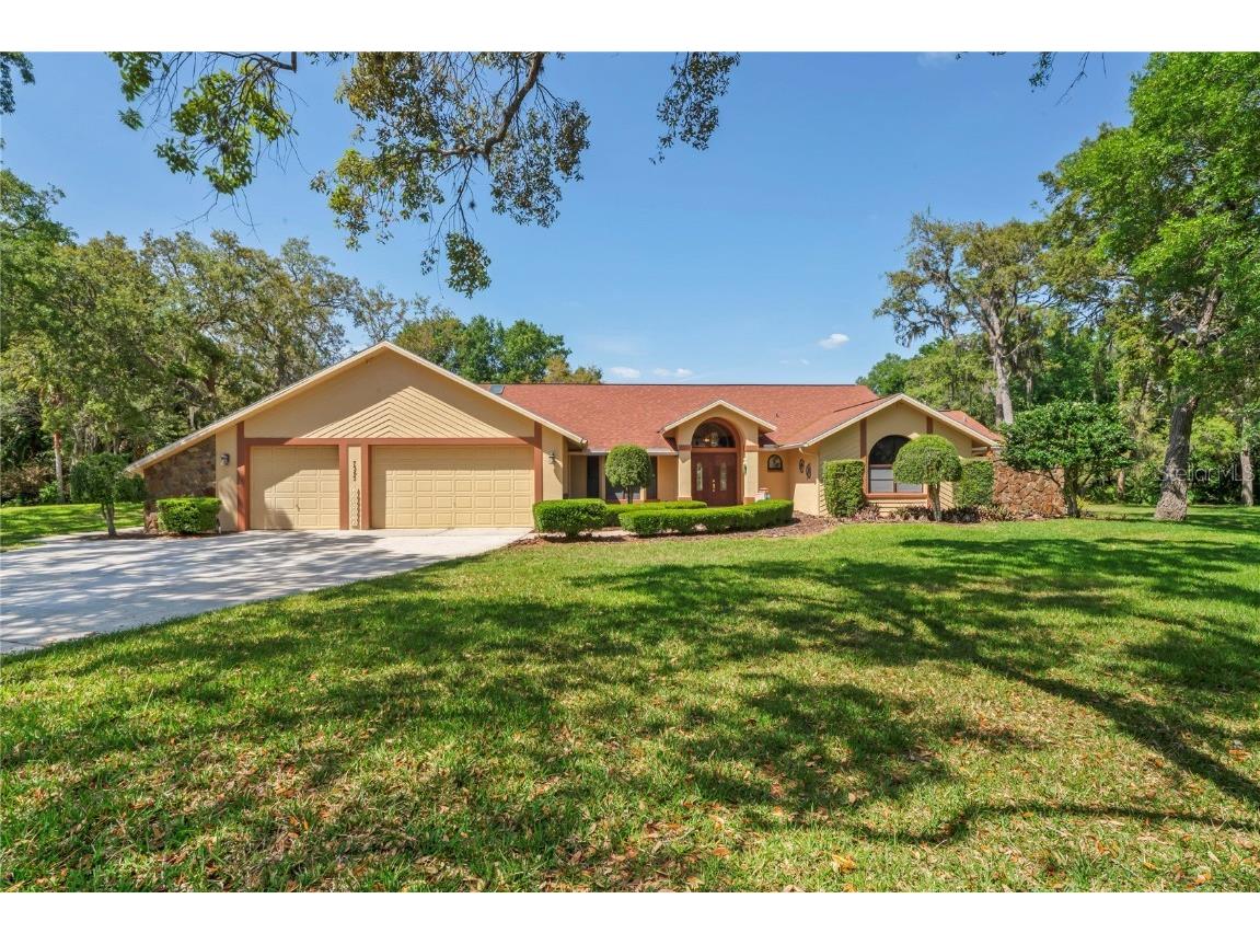 7353 Dogwood Crescent Spring Hill FL 34607 TB8381934 image3
