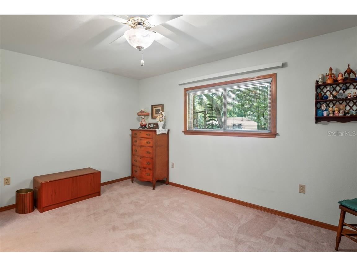 7353 Dogwood Crescent Spring Hill FL 34607 TB8381934 image33